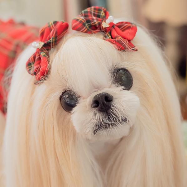 CanNana 犬 バレッタ アクセサリー リボン アクセ 秋冬 タータン