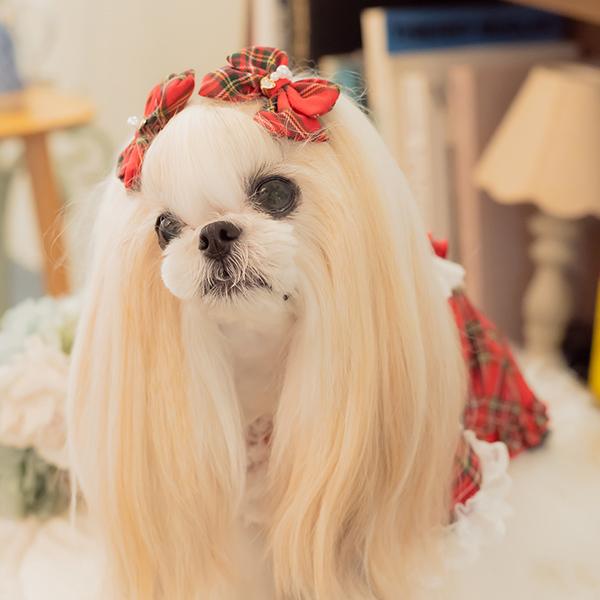 CanNana 犬 バレッタ アクセサリー リボン アクセ 秋冬 タータン