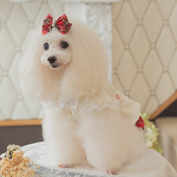 CanNana 犬 バレッタ アクセサリー リボン アクセ 秋冬 タータン