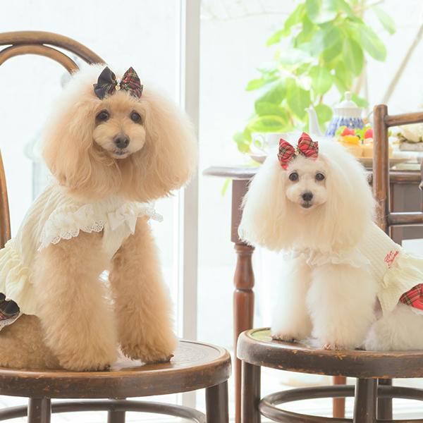 CanNana 犬 バレッタ アクセサリー リボン アクセ 秋冬 タータン