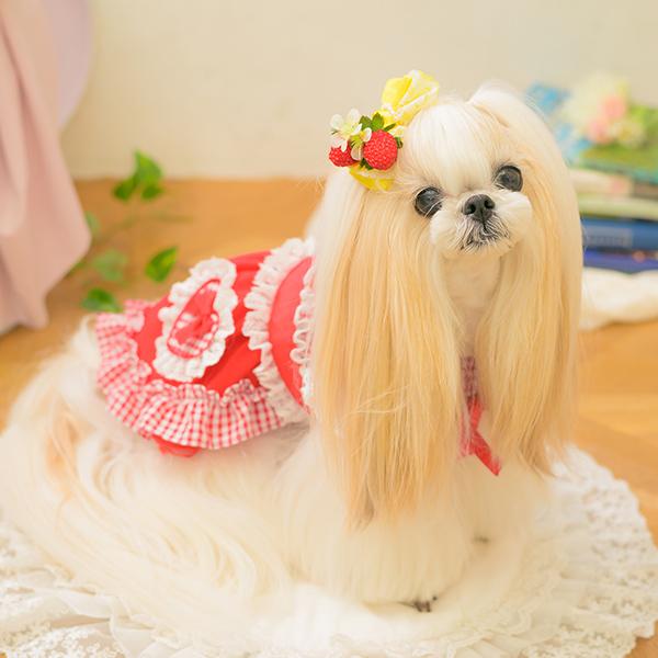 アレッタアンジェリーク いちごモチーフ ニット犬服 ホワイト ピンク CanNana 犬 アクセサリー バレッタ リボン いちご ストロベリー レース