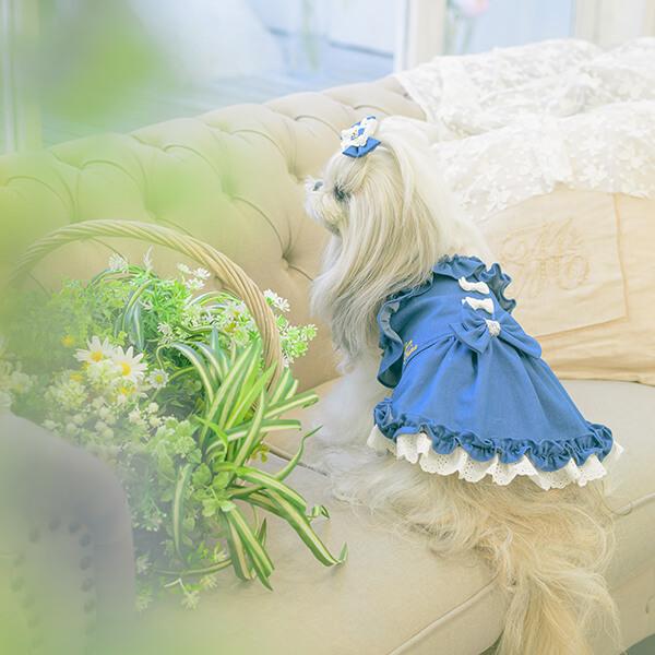 CanNana 犬 アクセサリー バレッタ リボン デニム レース ロゴ リンク