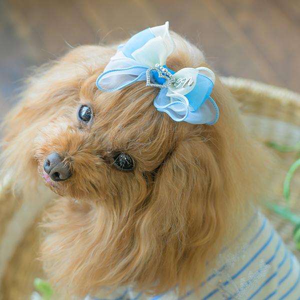 CanNana 犬 アクセサリー バレッタ リボン オーガンジー リンクコーデ