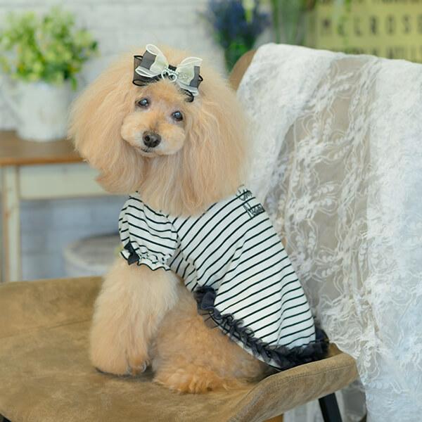 CanNana 犬 アクセサリー バレッタ リボン オーガンジー リンクコーデ