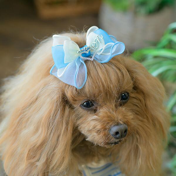 CanNana 犬 アクセサリー バレッタ リボン オーガンジー リンクコーデ