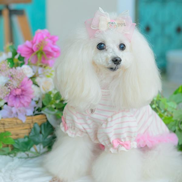 CanNana 犬 アクセサリー バレッタ リボン オーガンジー リンクコーデ