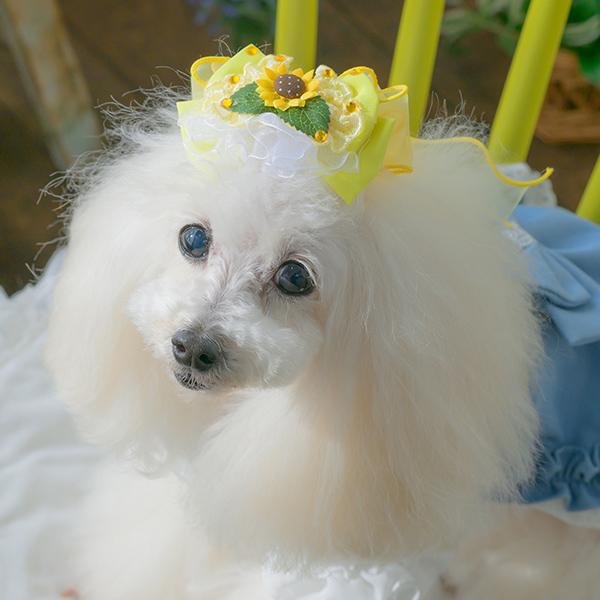 CanNana 犬 アクセサリー 夏 ひまわり バレッタ アクセ ギフト