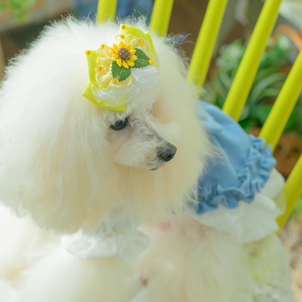 CanNana 犬 アクセサリー 夏 ひまわり バレッタ アクセ ギフト