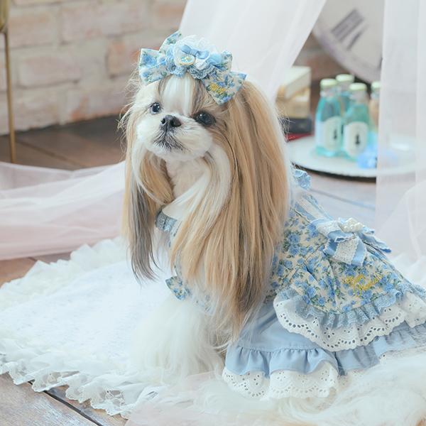 可愛い犬服 水色/バレッタ付き CanNana バレッタリボン ドッグアクセサリー 不思議の国のアリス きゃ