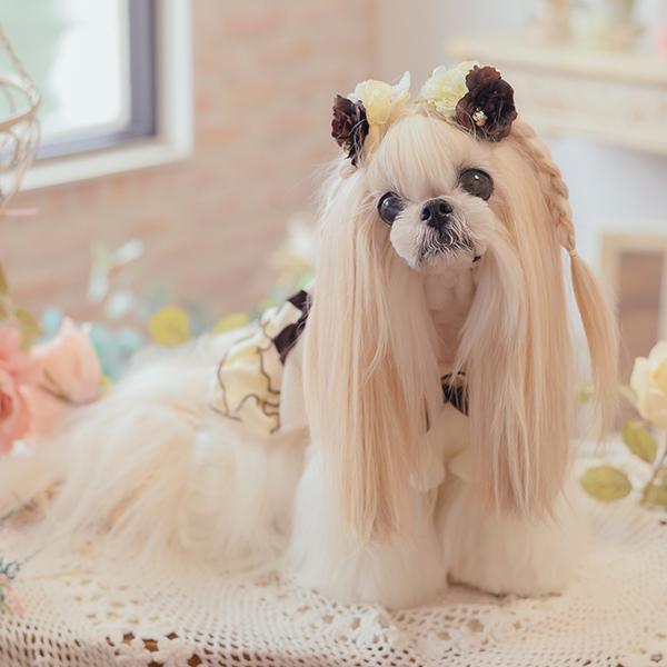 CanNana 犬 アクセサリー バレッタ リボン ローズ JDバレッタ 小型犬