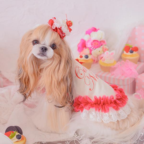 CanNana 犬 アクセサリー バレッタ リボン スイーツ ケーキ JDバレッタ