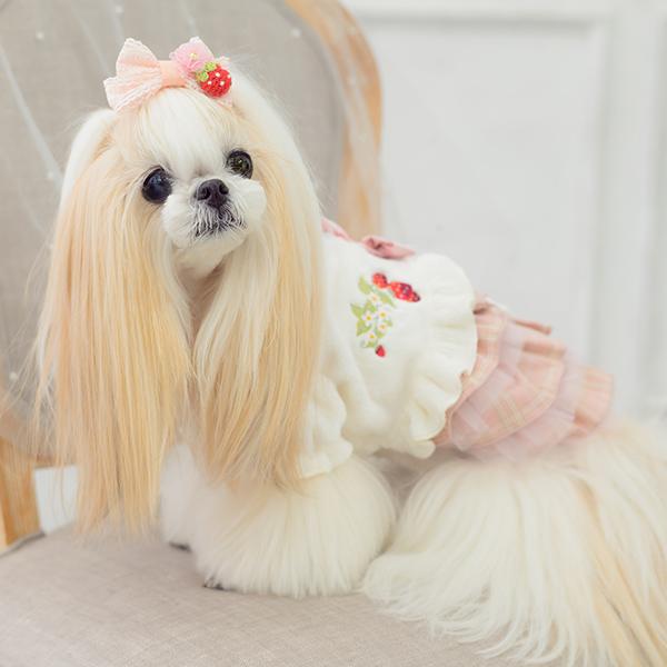 CanNana 犬 リボン バレッタ アクセサリー アクセ いちご ストロベリー