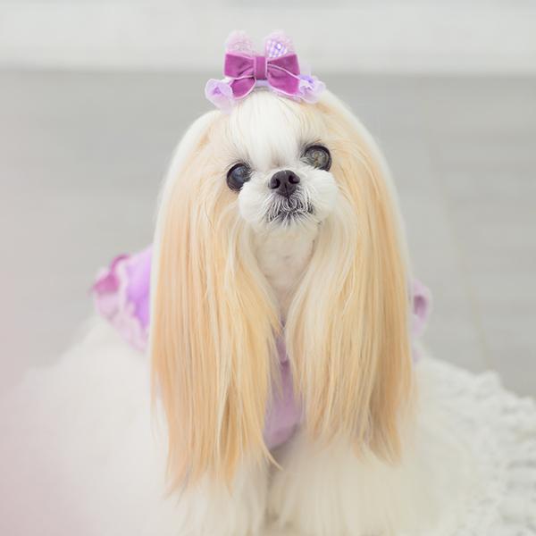 CanNana 犬 リボン バレッタ アクセサリー アクセ うさぎ 耳 ギフト