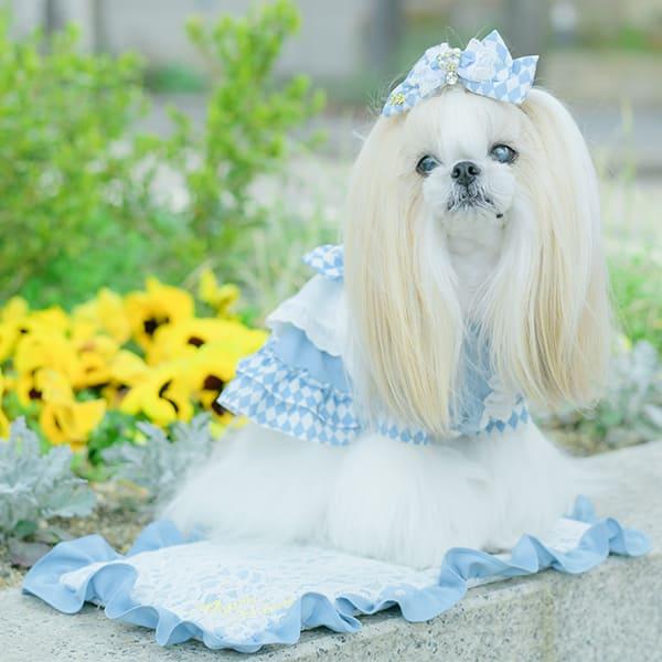CanNana カバー 着せ替え プレゼント 天使のカート ミアキス CanNana カバー 着せ替え プレゼント 天使のカート ミアキス