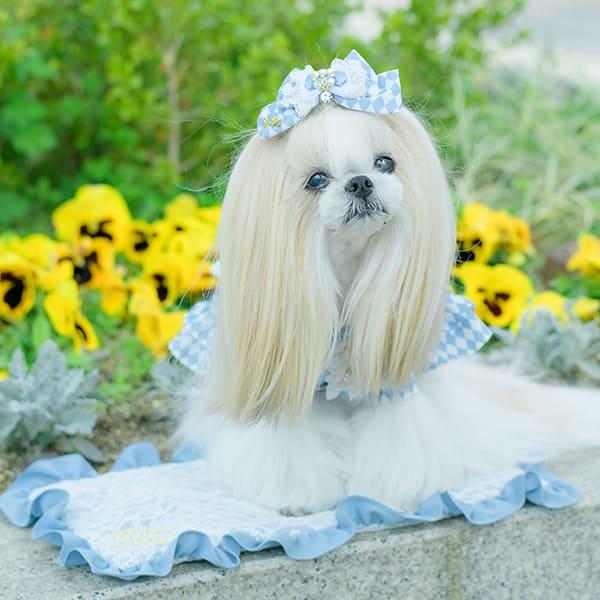 CanNana カバー 着せ替 天使のカート ミアキス ペットカート カート