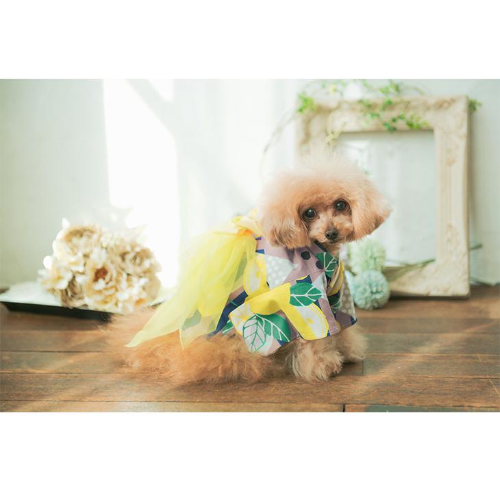 CanNana 犬 服 犬服 春夏 浴衣 レモン モダン 和 犬の服 新作 きゃん