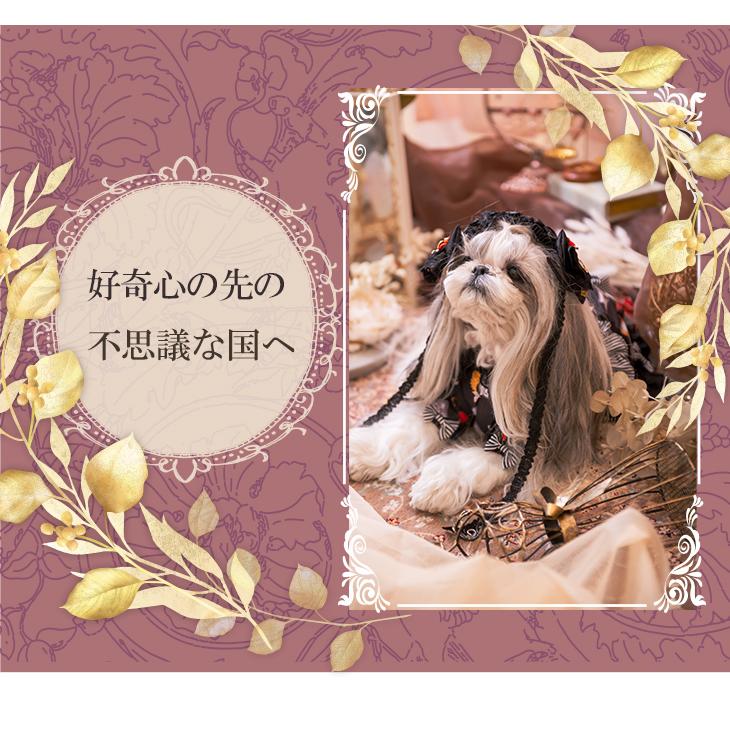 売買 犬 服 犬服 アリス 犬の服 新作 ブランド ドッグウェア きゃんナナ