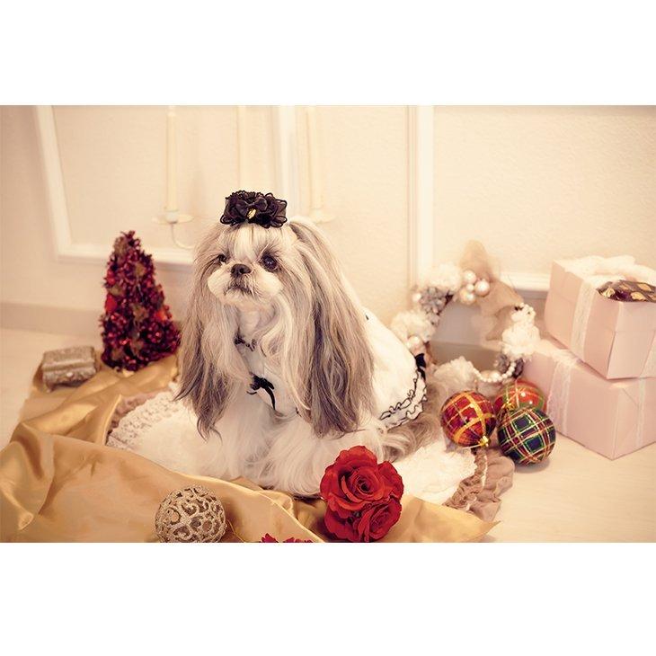 CanNana 犬 服 犬服 ワンピース フリル ドレス レース リボン お出かけ