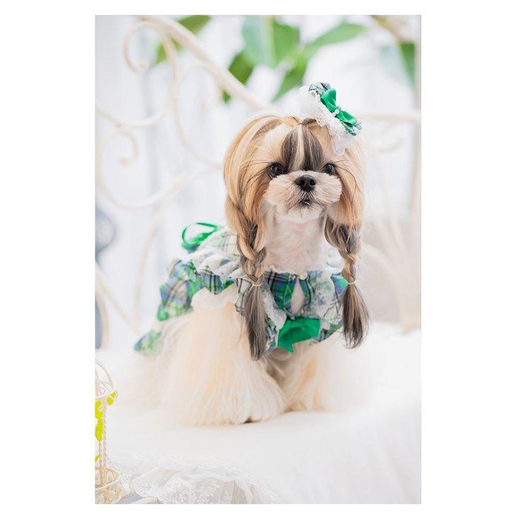 CanNana 犬 服 犬服 ワンピース 春夏 タータンチェック リボン レース