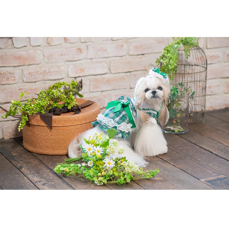 CanNana 犬 服 犬服 春夏 タータンチェックセーラーカラーワンピース