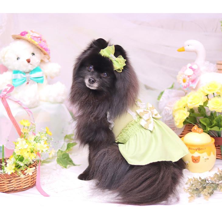 CanNana 犬 服 犬服 春夏 ウエストシャーリング春色ワンピース レース