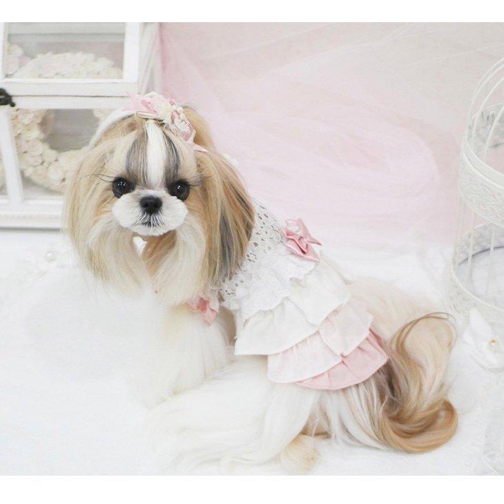 犬 服 犬服 ワンピース 春夏 グラデーション レース リボン フリル 小型犬  シーズー トイプードル チワワ ポメラニアン ブランド セレブ | CanNana | 11