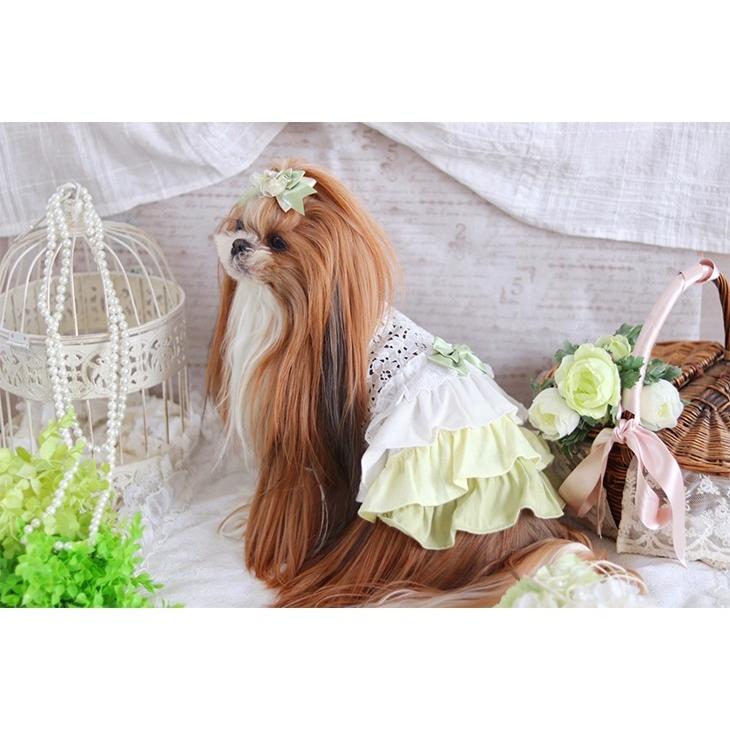 CanNana 犬 服 犬服 ワンピース 春夏 グラデーション レース リボン