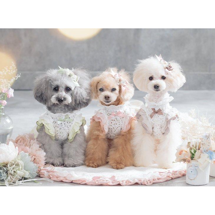 犬 服 犬服 ワンピース 春夏 グラデーション レース リボン フリル 小型犬  シーズー トイプードル チワワ ポメラニアン ブランド セレブ | CanNana | 13