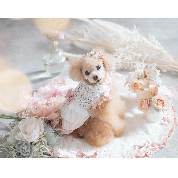 犬 服 犬服 ワンピース 春夏 グラデーション レース リボン フリル 小型犬  シーズー トイプードル チワワ ポメラニアン ブランド セレブ | CanNana | 08