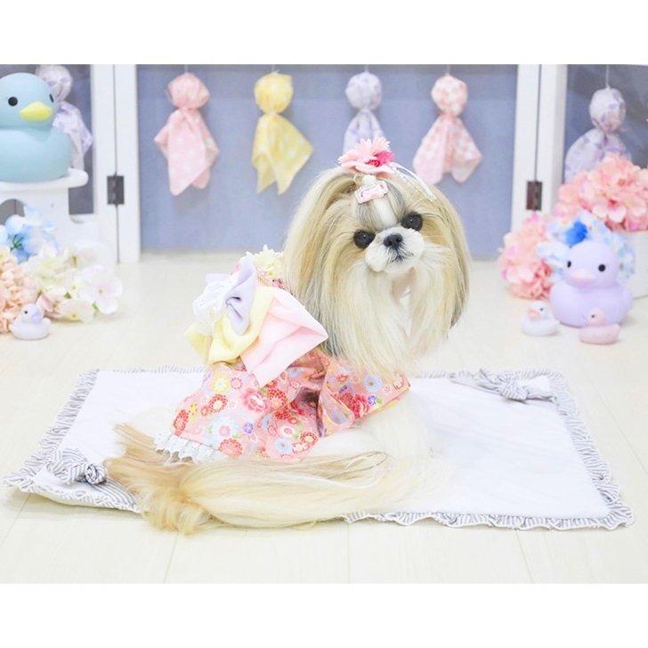 浴衣 | 犬 和装 犬服 和柄 花柄 小型犬 猫 服 帯付き