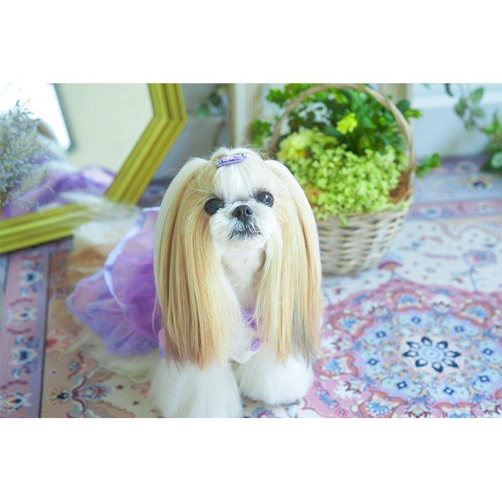 犬 服 犬服 ワンピース 春夏 ハートレース エレガント ビビットカラー 犬の服 小型犬ドッグウェア ブランド セレブ | CanNana | 04