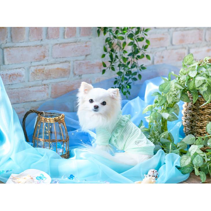 CanNana 犬 服 犬服 Tシャツ 春夏 ボーダー 半袖 犬の服 新作 きゃん