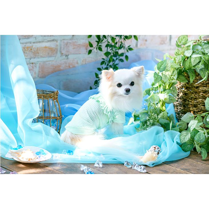 CanNana 犬 服 犬服 Tシャツ 春夏 ボーダー 半袖 犬の服 新作 きゃん