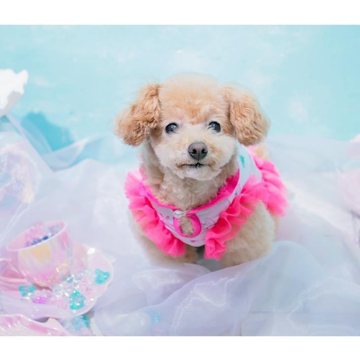 CanNana 犬 服 犬服 ワンピース 夏 クール 貝 シェル ビビットカラー