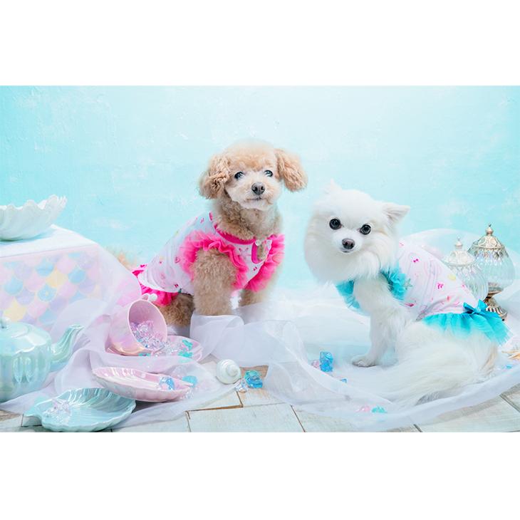 CanNana 犬 服 犬服 ワンピース 夏 クール 貝 シェル ビビットカラー