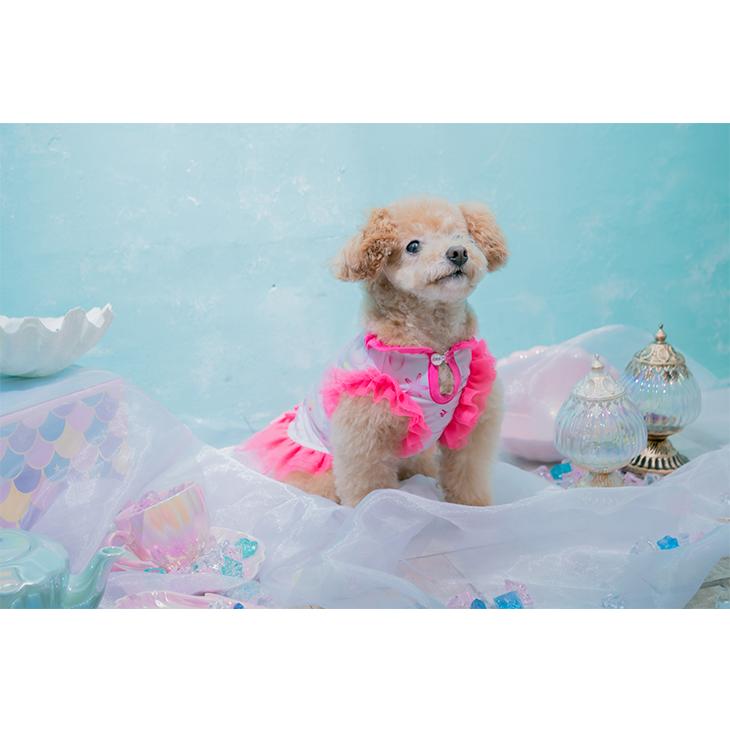 CanNana 犬 服 犬服 ワンピース 夏 クール 貝 シェル ビビットカラー