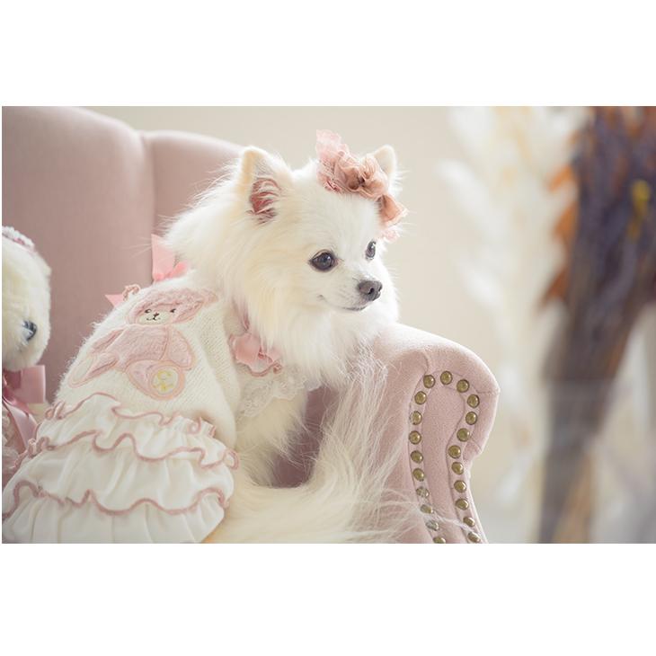 CanNana 犬 服 犬服 秋冬 アップリケニットワンピース くま ベア