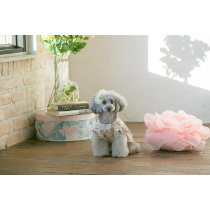 CanNana 犬 服 犬服 ワンピース 春夏 ギンガムチェック シャーリング