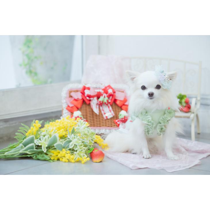 恋いちごワンピースのセットイントレーナー犬服  （胴回り33〜49センチ） 楽天市場】きゃんナナ CanNana 冬いちごスウィートワンピース