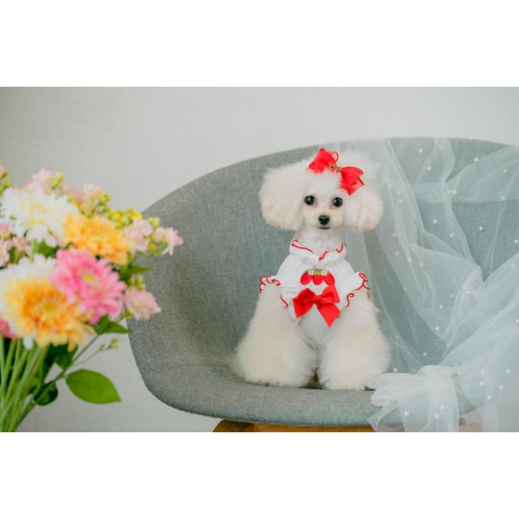 CanNana 犬 服 犬服 春夏 いちご刺繍入りフリリーカットソー