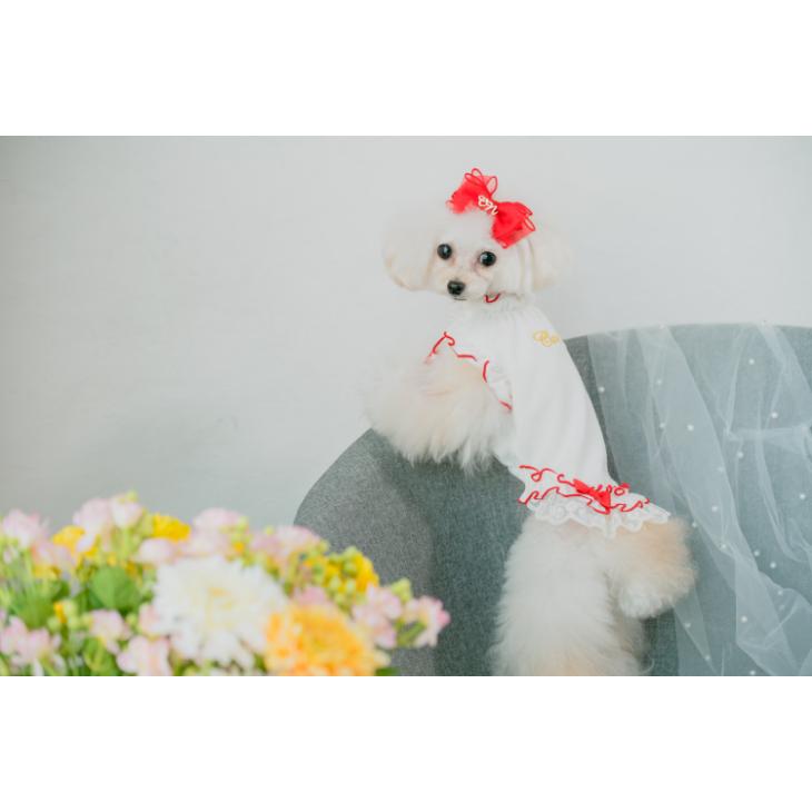 CanNana 犬 服 犬服 春夏 いちご刺繍入りフリリーカットソー