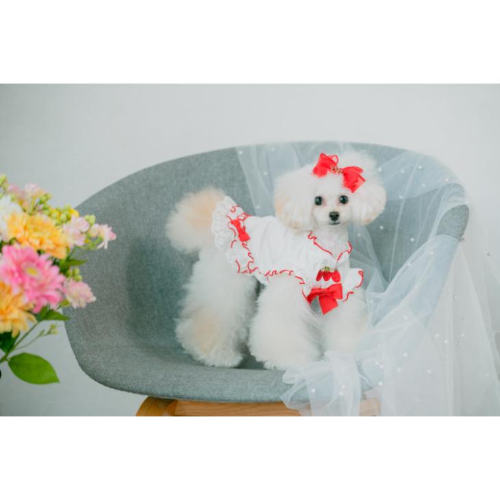 ハンドメイド犬服【いちご柄ギャザーたっぷりワンピース】ペット服 CanNana 犬 服 犬服 春夏 いちご刺繍入りフリリーカットソー