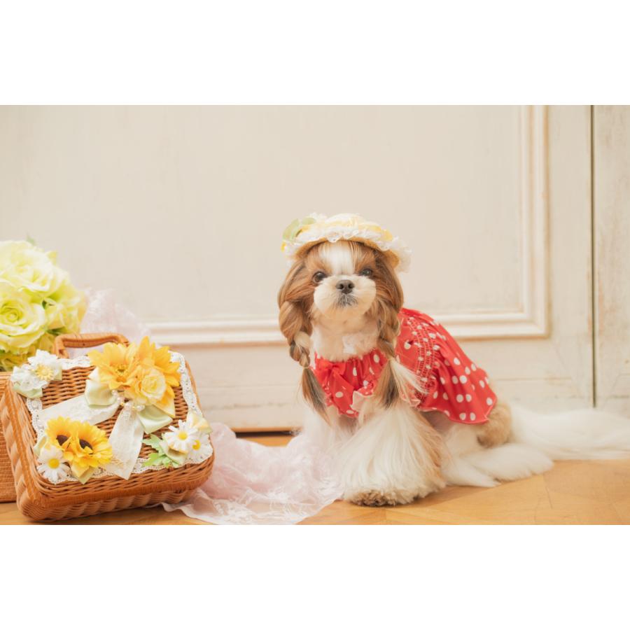 CanNana 犬 服 春夏 カゴ ひまわり バスケット インテリア 撮影グッズ