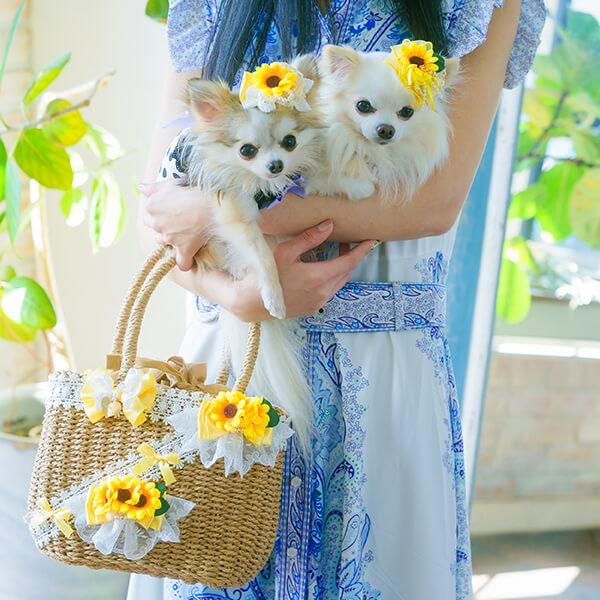 CanNana かご かごバッグ 籐 ひまわり 夏 犬服 ブランド セレブ 小型犬
