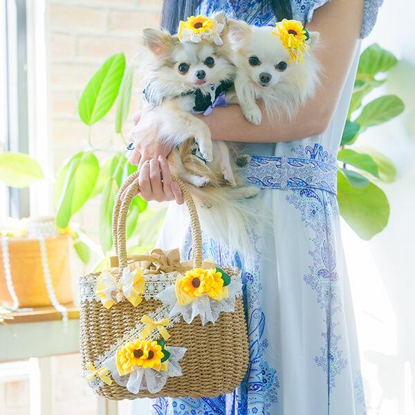CanNana かご かごバッグ 籐 ひまわり 夏 犬服 ブランド セレブ 小型犬