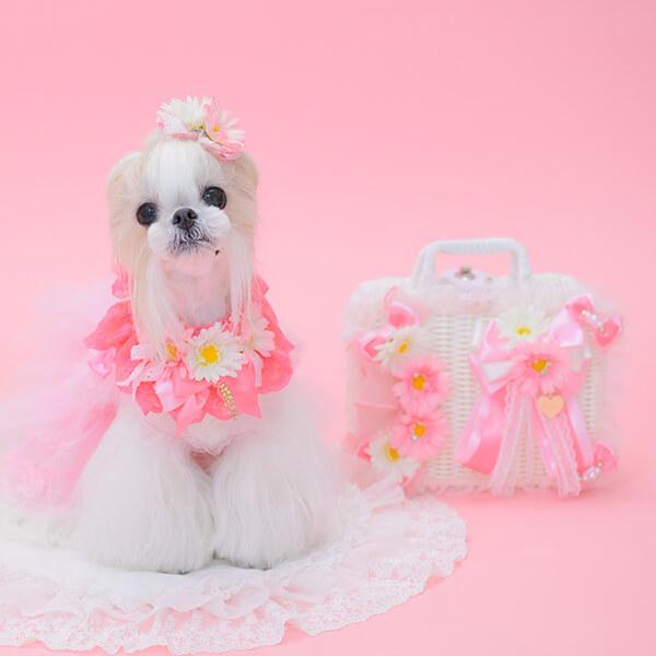 CanNana 犬 バスケット かごバッグ 撮影小物 撮影グッズ プレゼント