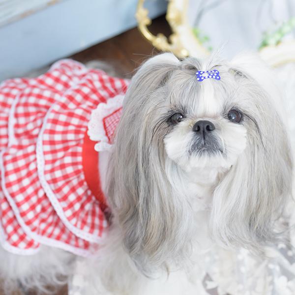 CanNana バレッタ 骨型 ヘアピン クリップアクセ アクセサリー 新作