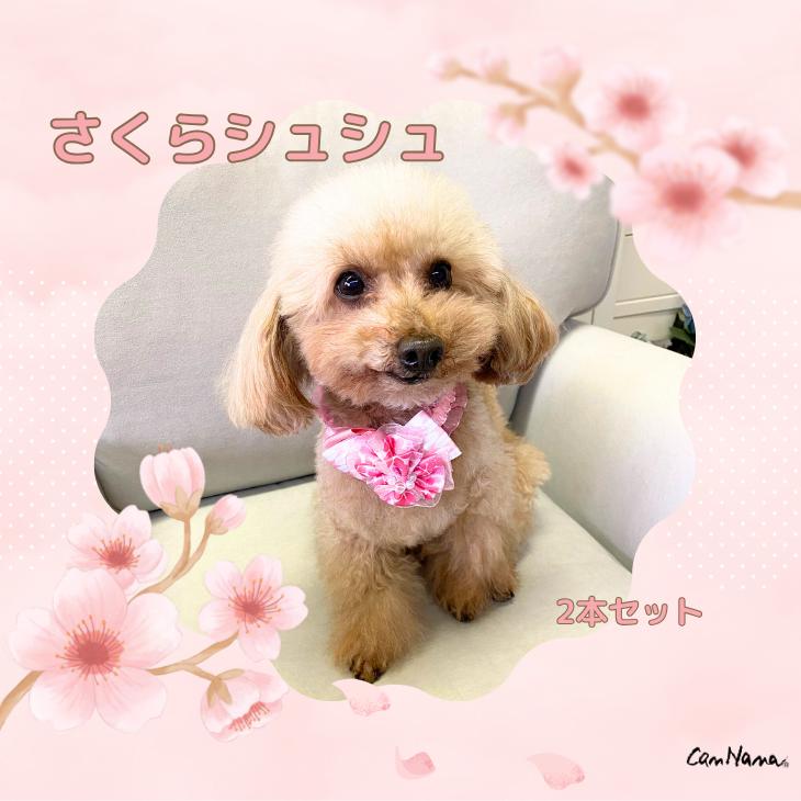 CanNana きゃんナナ 犬 服 犬服 犬の服 ブランド 小型犬 シーズー トイ