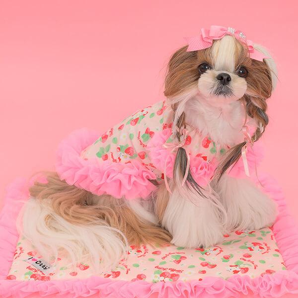 CanNana 犬服 ドックウェア ワンピース 春夏 ハローキティ サンリオ