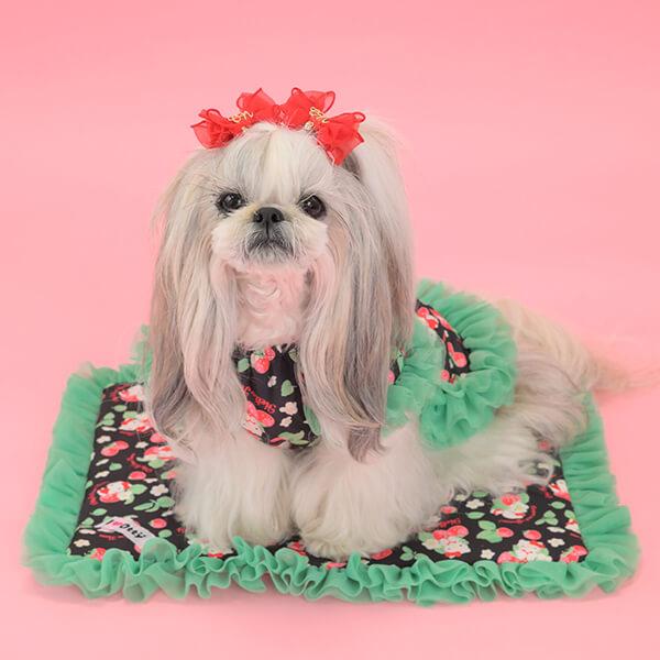 CanNana カフェマット マット ハローキティ サンリオ キティちゃん